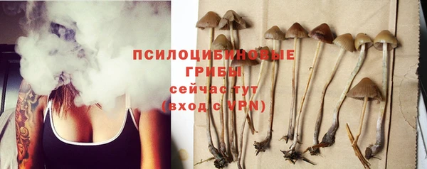 мескалин Инсар