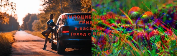 мескалин Инсар