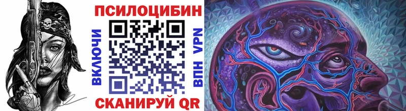 Купить закладки  Знаменск  Псилоцибиновые грибы MAGIC MUSHROOMS 